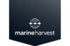 Marine Harvest lance une nouvelle stratégie de marque et change de nom pour devenir Mowi